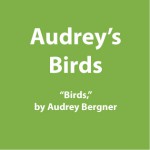 Audrey's Birds